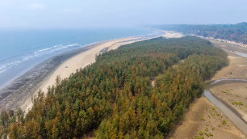 কক্সবাজার-টেকনাফ সৈকতে হারিয়ে যাওয়া ঝাউবাগানের নীরব গল্প