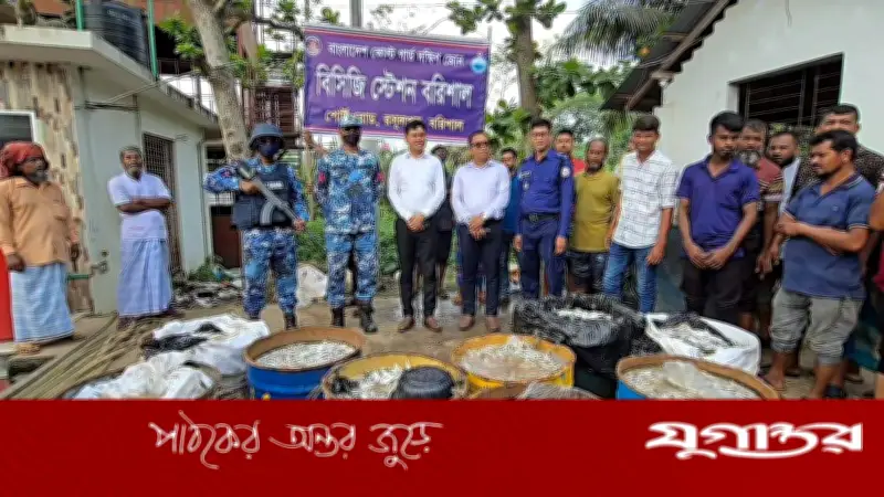 ঝালকাঠির নলছিটিতে কোস্টগার্ডের অভিযানে ১৭০০ কেজি জাটকা জব্দ