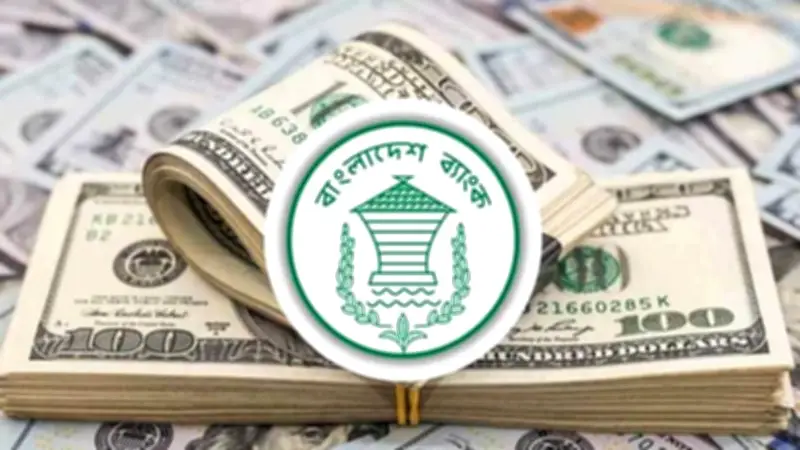 মার্চে প্রবাসী আয়ে রেকর্ড: ৩৭৫ কোটি ডলার রেমিট্যান্স, বিএনপি নেতাকর্মীর বিরুদ্ধে ১.৫ লাখ মামলা