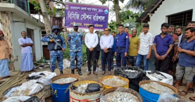 ঝালকাঠির নলছিটিতে কোস্ট গার্ডের অভিযানে ১৭০০ কেজি জাটকা জব্দ, তিনজন জরিমানা