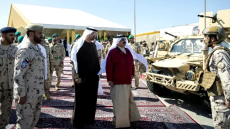 হরমুজ প্রণালি সচল করতে সামরিক ভূমিকা নিতে প্রস্তুত সংযুক্ত আরব আমিরাত