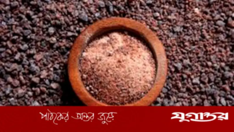 গরমে বিট লবণ মেখে ফল খাওয়ার উপকারিতা ও ঝুঁকি: জানুন বিস্তারিত