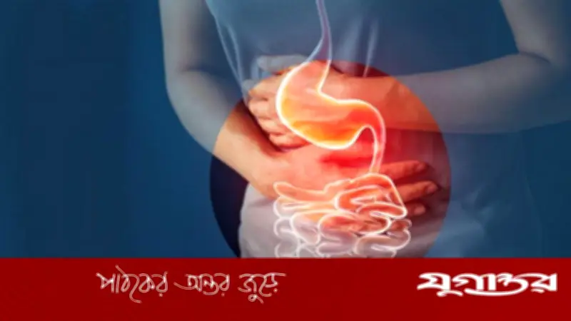 ঘরে তৈরি খাবারেও বদহজম? জেনে নিন কারণ ও সমাধান