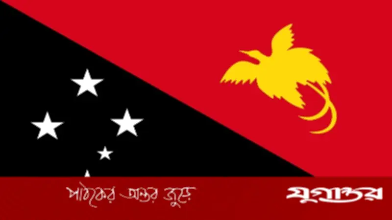 ১৬ বছরের কিশোরীর নকশায় পাপুয়া নিউ গিনির জাতীয় পতাকা