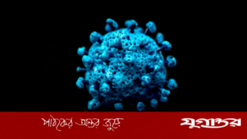 করোনার 'সিকাডা' ভ্যারিয়েন্ট: বিশ্বজুড়ে উদ্বেগ, কতটা বিপজ্জনক?
