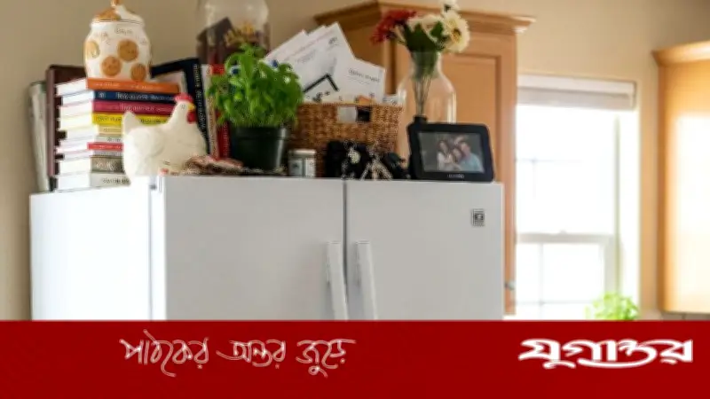 ফ্রিজের ওপর ভুলেও রাখবেন না যেসব জিনিস, বাস্তু ও স্বাস্থ্যের জন্য ক্ষতিকর