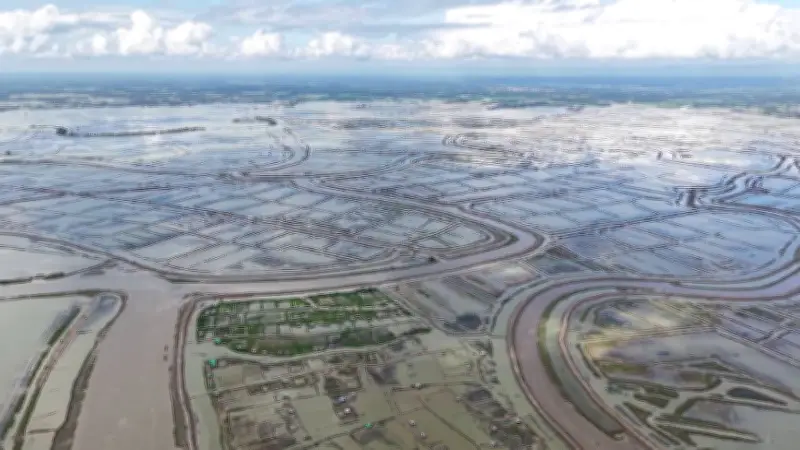 চকরিয়ায় চিংড়িজোন অভিযান, টেলিকম সেবা বিঘ্নের আশঙ্কা ও চুয়াডাঙ্গায় তাপমাত্রা রেকর্ড