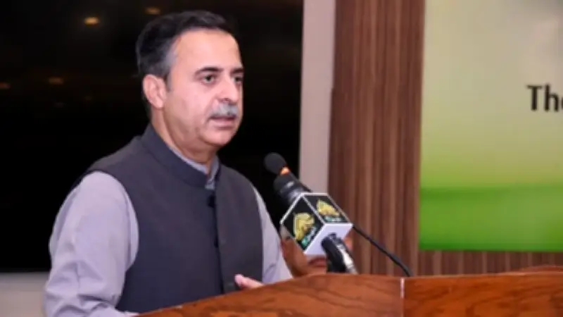 যুদ্ধের মাঝে পাকিস্তানি বন্দরে যান চলাচল বেড়েছে, ইসরায়েলের হামলায় ৪০ হিজবুল্লাহ যোদ্ধা নিহত