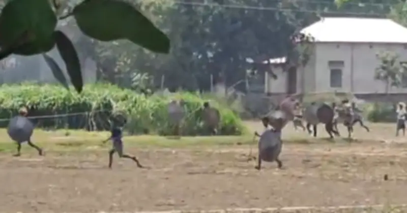 ফরিদপুরের সালথায় জমি বিরোধে সংঘর্ষ: ৮ জন আহত, পুলিশের হস্তক্ষেপ