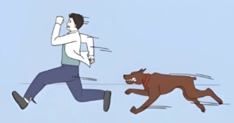 কিশোরগঞ্জের পাকুন্দিয়ায় পাগলা কুকুরের আক্রমণে ৫০ জনের বেশি আহত, হাসপাতালে ভ্যাকসিন সংকট