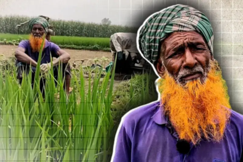 বাংলাদেশে অনলাইন শিক্ষার নতুন সম্ভাবনা: প্রযুক্তির মাধ্যমে শিক্ষার প্রসার