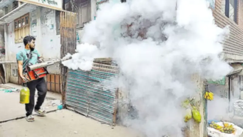 ডিজেল সংকটে ঢাকার দুই সিটি করপোরেশনে মশা নিধন ফগিং অভিযান ব্যাহত