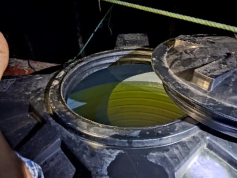 নোয়াখালীতে বাড়ির ছাদে পানির ট্যাংকে ৭৫০ লিটার ডিজেল মজুত, জব্দ ও জরিমানা