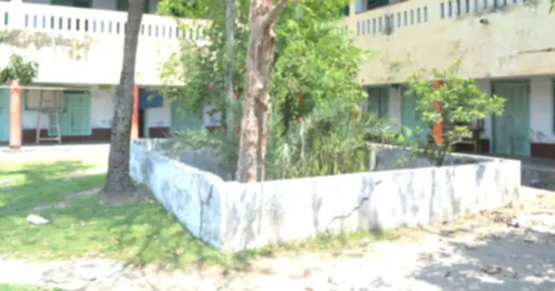 জেসোরে গণহত্যা দিবস আজ: ১৯৭১-এর নির্মম হত্যাকাণ্ডের স্মরণ