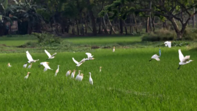 বাংলাদেশে ডিজিটাল শিক্ষার অগ্রগতি: নতুন প্রযুক্তি ও চ্যালেঞ্জ