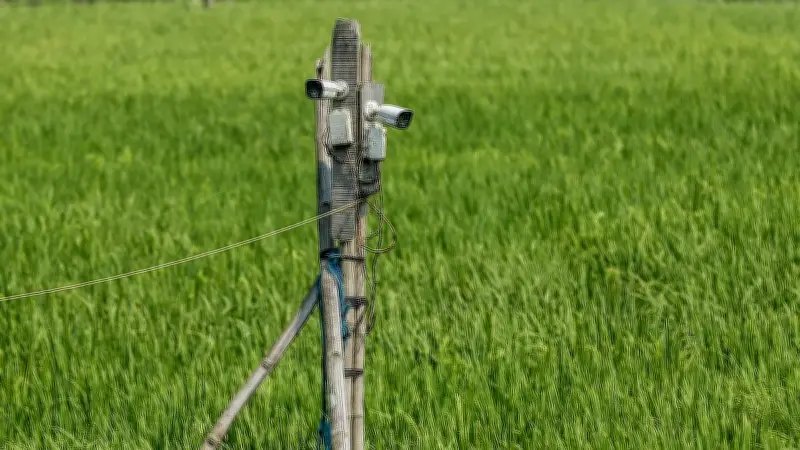 বাংলাদেশের প্রাকৃতিক সৌন্দর্য ও কৃষি জীবনের একঝলক: ফুল থেকে ফসল পর্যন্ত