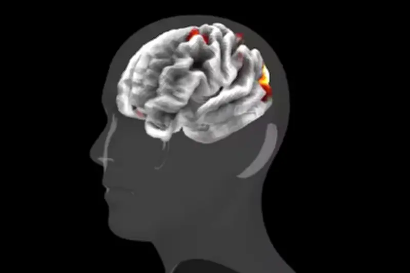 মেটার নতুন এআই মডেল ট্রাইব ভি২ মানুষের মস্তিষ্কের প্রতিক্রিয়া পূর্বাভাস দিতে সক্ষম