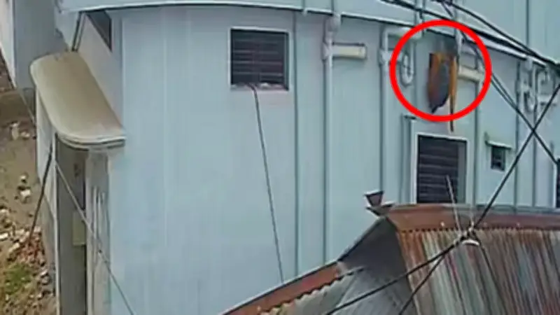 বাংলাদেশে অনলাইন শিক্ষার নতুন সম্ভাবনা: প্রযুক্তির মাধ্যমে শিক্ষার প্রসার