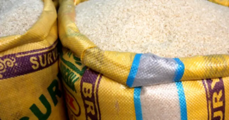 খাদ্য মন্ত্রণালয়ের তথ্য: সরকারি গুদামে ১৯.২০ লাখ টন খাদ্যশস্য মজুদ রয়েছে