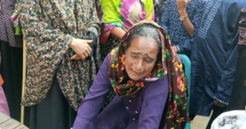 ঝিনাইদহে বিদ্যুৎস্পৃষ্টে মামা-ভাগ্নের মর্মান্তিক মৃত্যু, শ্যালো মেশিনের ছেঁড়া তারে দুর্ঘটনা