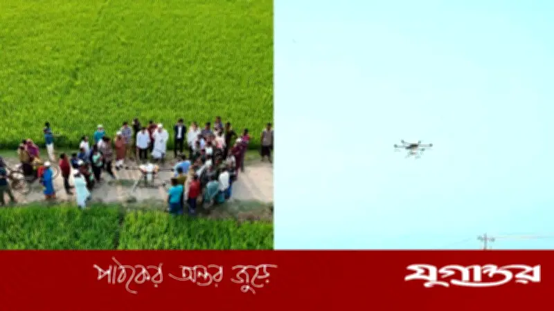যশোরে ড্রোনের মাধ্যমে সার স্প্রে প্রদর্শনী, কৃষিতে নতুন সম্ভাবনার সূচনা