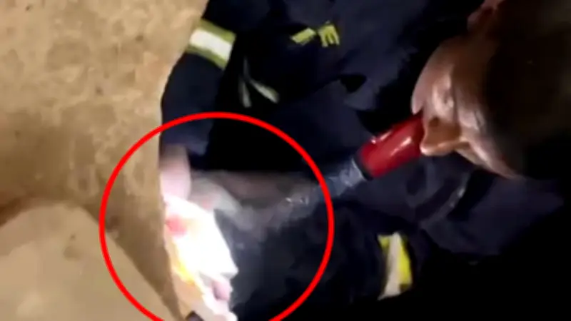 বাংলাদেশে অনলাইন শিক্ষার নতুন সম্ভাবনা: প্রযুক্তির মাধ্যমে শিক্ষার প্রসার