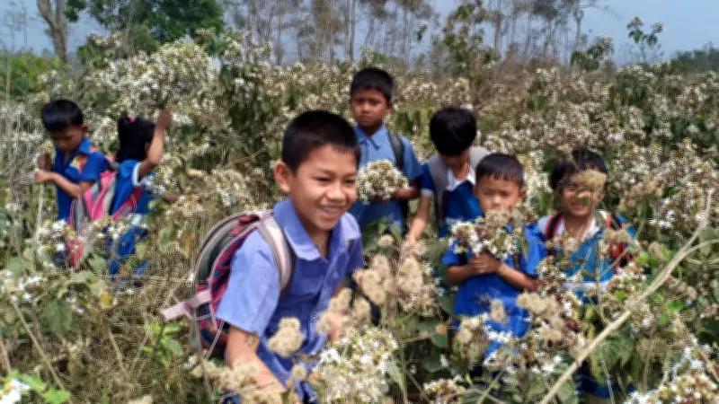 বাংলাদেশের বিভিন্ন প্রান্তের দৈনন্দিন জীবন: কৃষি, শিক্ষা ও প্রকৃতির ছবি