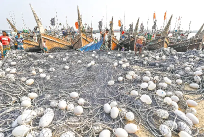 জ্বালানি সংকটে সমুদ্রে মাছ আহরণ কমেছে, জেলেদের জীবনযাত্রায় চাপ