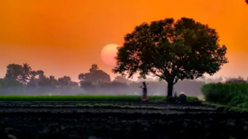 প্রকৃতির রূপে বিদায়ী বাংলা বছর: রাজবাড়ী থেকে ঢাকা পর্যন্ত জীবনের গল্প