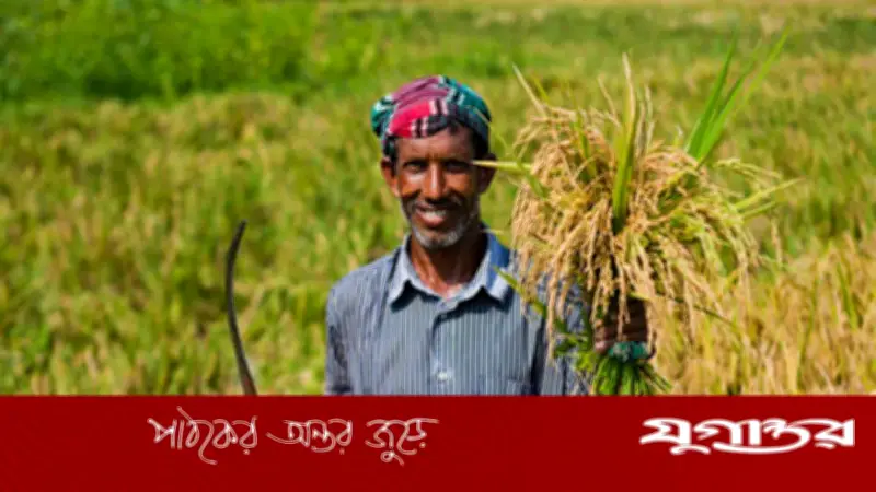 কৃষকদের ঋণ মওকুফে ১,৫৬৭ কোটি টাকা বরাদ্দ, ১৩ লাখের বেশি কৃষক উপকৃত হবেন