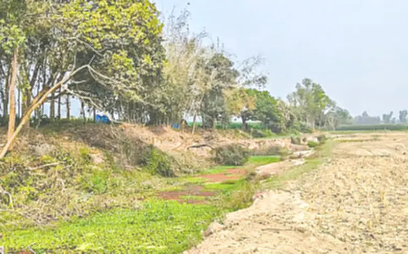 খাল খননে গ্রামীণ অর্থনীতির প্রাণ ফেরানো: যুবদের স্বনির্ভরতার পথ