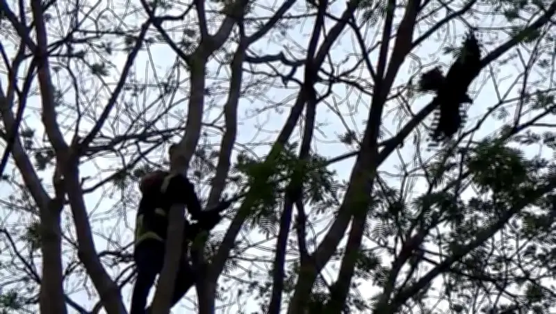 বাংলাদেশে অনলাইন শিক্ষার নতুন সম্ভাবনা: প্রযুক্তির মাধ্যমে শিক্ষার প্রসার