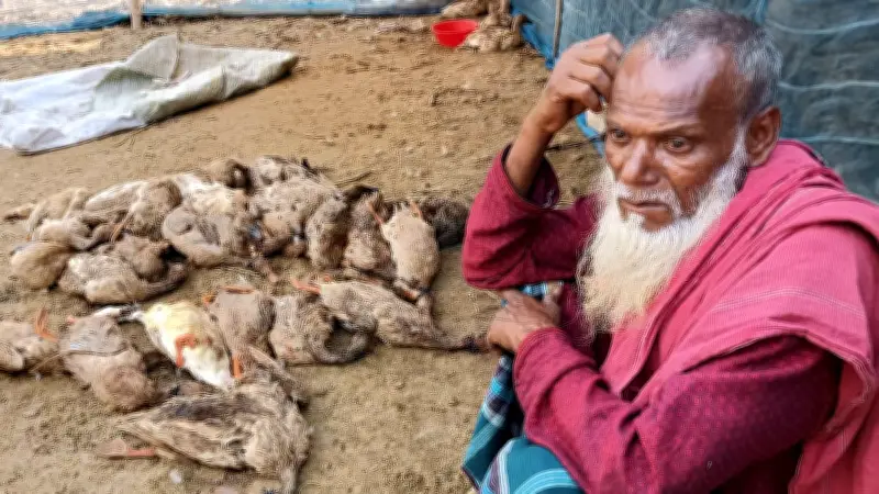 প্রথম আলোর ভিডিও বিভাগে বাংলাদেশের নতুন প্রতিবেদন প্রকাশ
