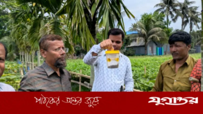 মানিকগঞ্জে শসাখেত পরিদর্শন: কৃষি বিভাগের তৎপরতা, নিম্নমানের বীজে কৃষকের ক্ষতি