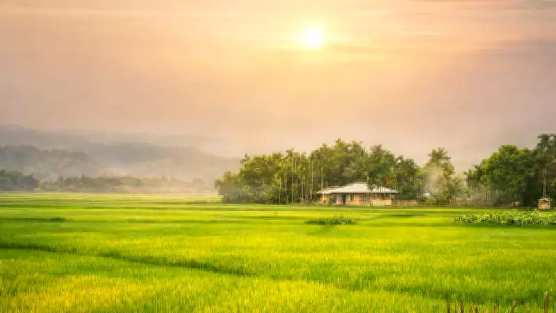 খাগড়াছড়ির তারাবুনিয়া সড়কে সবুজের মাঝে পর্যটনের সমারোহ, স্থানীয় নারীদের আয় বৃদ্ধি