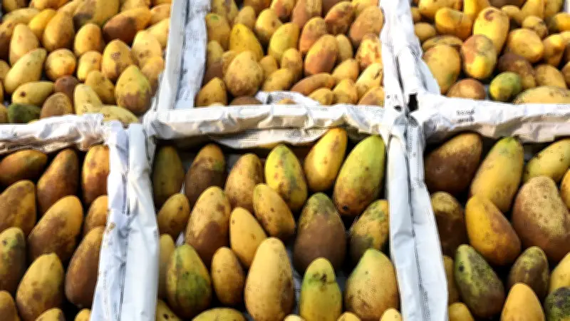 বাংলাদেশে অনলাইন শিক্ষার প্রসার: নতুন সম্ভাবনা ও চ্যালেঞ্জ