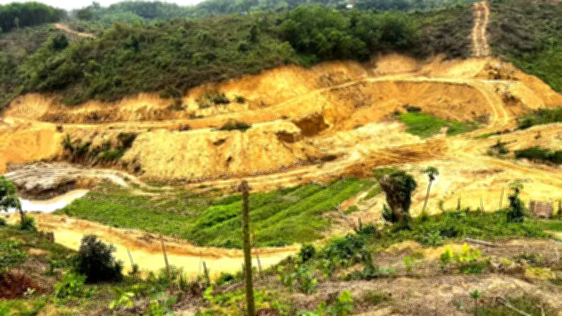 বাংলাদেশে অনলাইন শিক্ষার নতুন দিগন্ত: প্রযুক্তির মাধ্যমে শিক্ষার সম্প্রসারণ