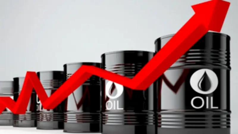 জ্বালানি তেলের মজুত ও দাম বৃদ্ধি নিয়ে সংসদে আলোচনা, ট্রাম্পের হুঁশিয়ারির প্রভাব