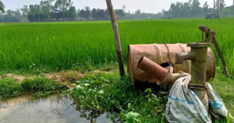 সিরাজগঞ্জে ডিজেল সংকটে বোরো ধানের সেচ ব্যাহত, কৃষকদের উৎপাদন নিয়ে দুশ্চিন্তা