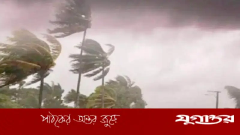 আট জেলায় ঝড়ের পূর্বাভাস: আবহাওয়া অধিদপ্তরের সতর্কতা জারি