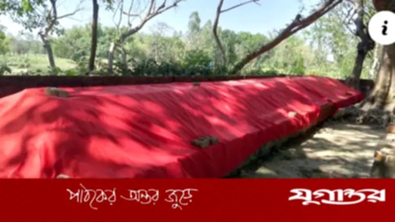 ঠাকুরগাঁওয়ে ৭০ হাত লম্বা রহস্যময় কবর: পীরের মাজার নাকি প্রাচীন সমাধি?