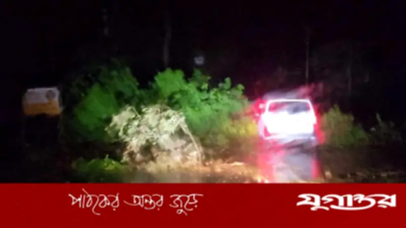 চুয়াডাঙ্গায় কালবৈশাখীর তাণ্ডব: বৃদ্ধের মৃত্যু, গাছ ভেঙে যান চলাচল ব্যাহত