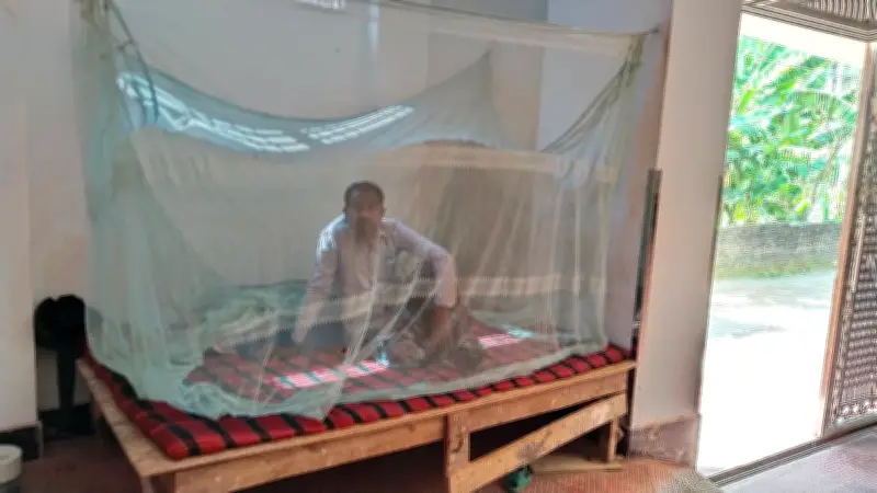 রংপুরে মশার আতঙ্ক: দিনের বেলাতেও মশারি টাঙিয়ে বসে থাকতে বাধ্য হচ্ছেন বাসিন্দারা