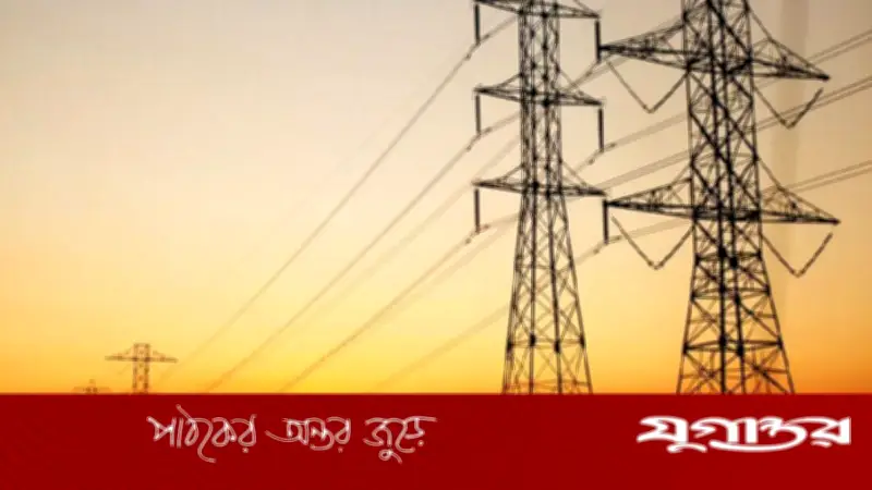 নাটোরে বিদ্যুৎ বন্ধ: গাছের ডালপালা কাটার কাজে ৮ ঘণ্টার জন্য সরবরাহ স্থগিত