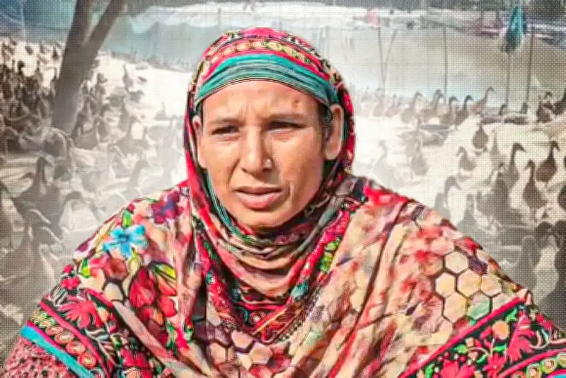 বাংলাদেশের অর্থনীতিতে নতুন সম্ভাবনা: বিনিয়োগ বৃদ্ধি ও কর্মসংস্থান সৃষ্টি