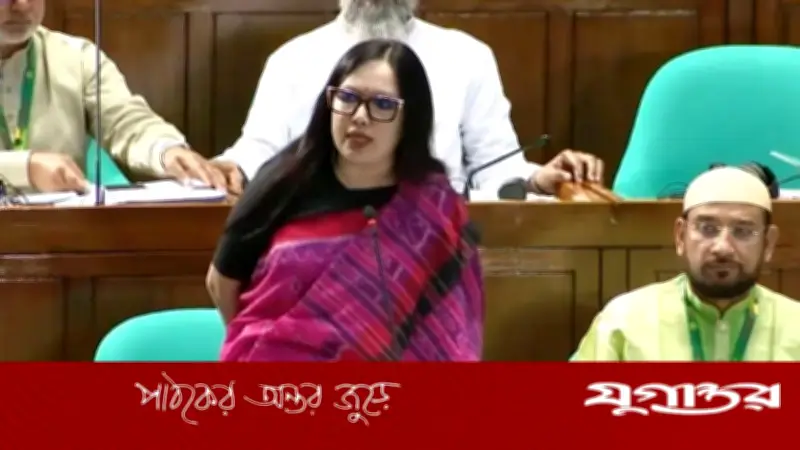 ব্যাংক ও বিশ্ববিদ্যালয়ে দলীয় নিয়োগের তীব্র সমালোচনা করলেন রুমিন ফারহানা