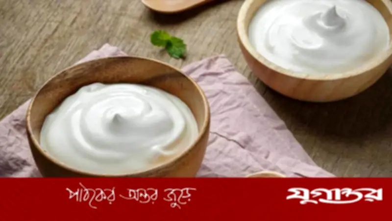 গরমে টকদইয়ের উপকারিতা: শারীরিক অস্বস্তি দূর করে সুস্থ থাকুন