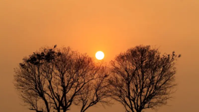 বাংলাদেশের প্রাকৃতিক সৌন্দর্য ও মানুষের জীবনযাত্রার এক ঝলক