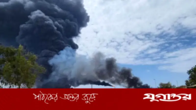 বিশ্ববাজারে স্বর্ণের দাম তিন সপ্তাহের সর্বোচ্চে, যুক্তরাষ্ট্র-ইরান যুদ্ধবিরতি ও ডলারের দুর্বলতা প্রভাবক