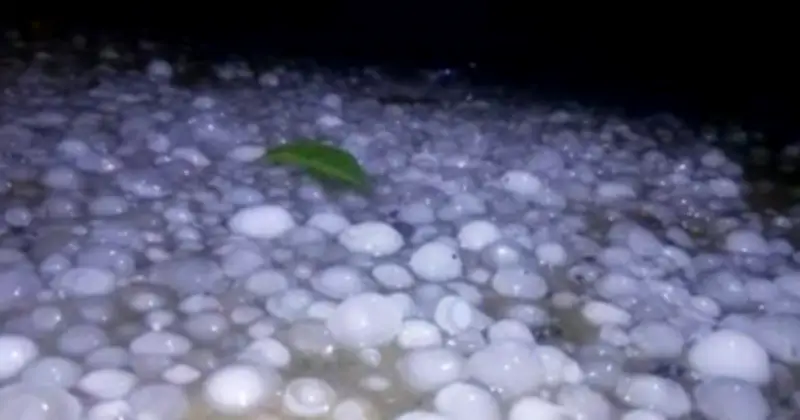 দিনাজপুরে শিলাবৃষ্টিসহ ঝড়ে ব্যাপক ক্ষতি, হাজার হাজার হেক্টর ফসল ও শত শত ঘরবাড়ি বিধ্বস্ত